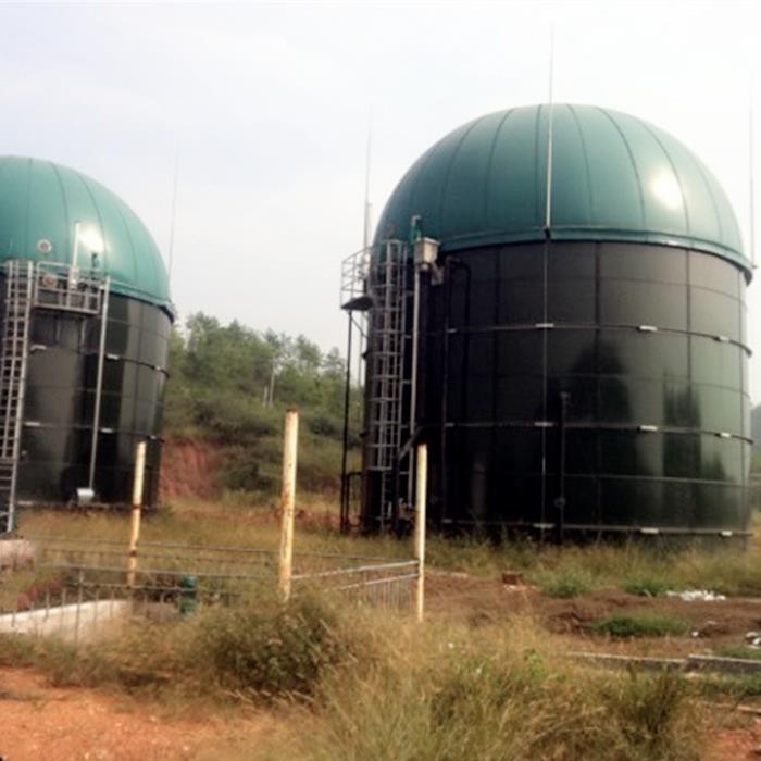 Dual Membrane Gas Domes On Digester
